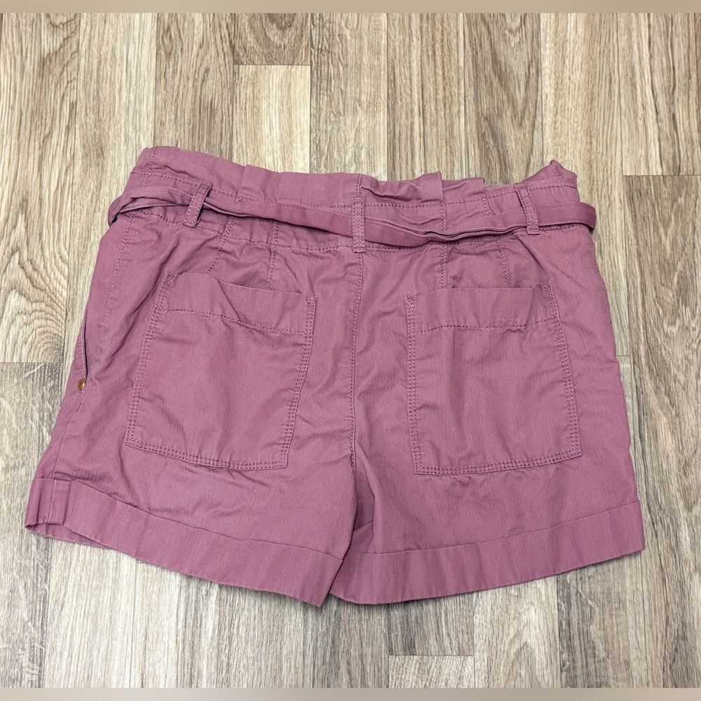 LOFT Womens Paperbag Waist Belted Shorts Size 0 Mauve Cuffed Pleated Front - Picture 3 of 3